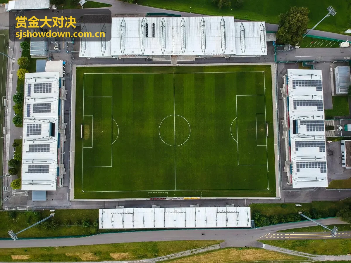 赏金大对决选手排行榜入口配图